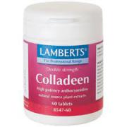 Suplemento Colladeen